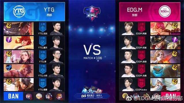 尼苏达森林