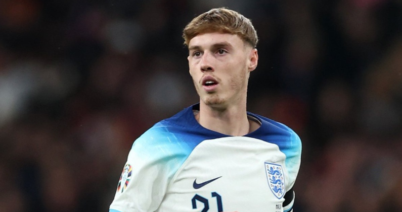 现出极佳的 现出极佳的