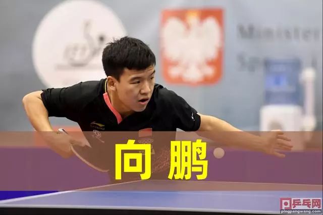 近年来表现 近年来表现