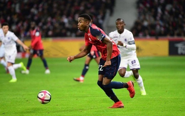 调的战术纪 调的战术纪