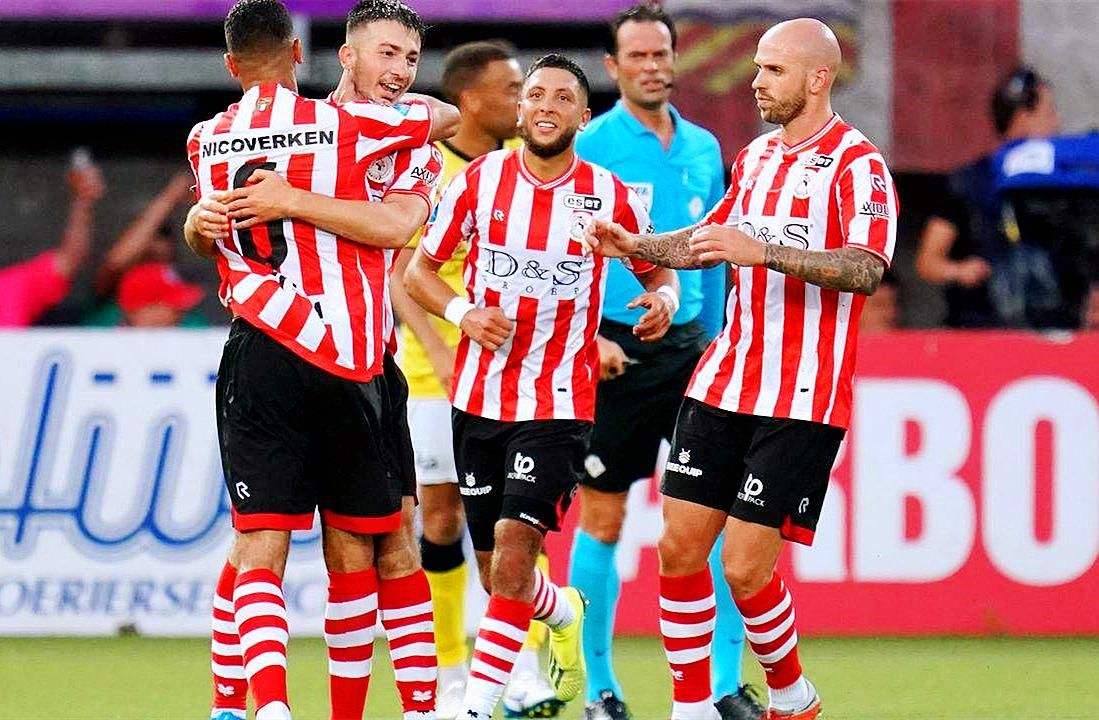 了顽强的韧 了顽强的韧