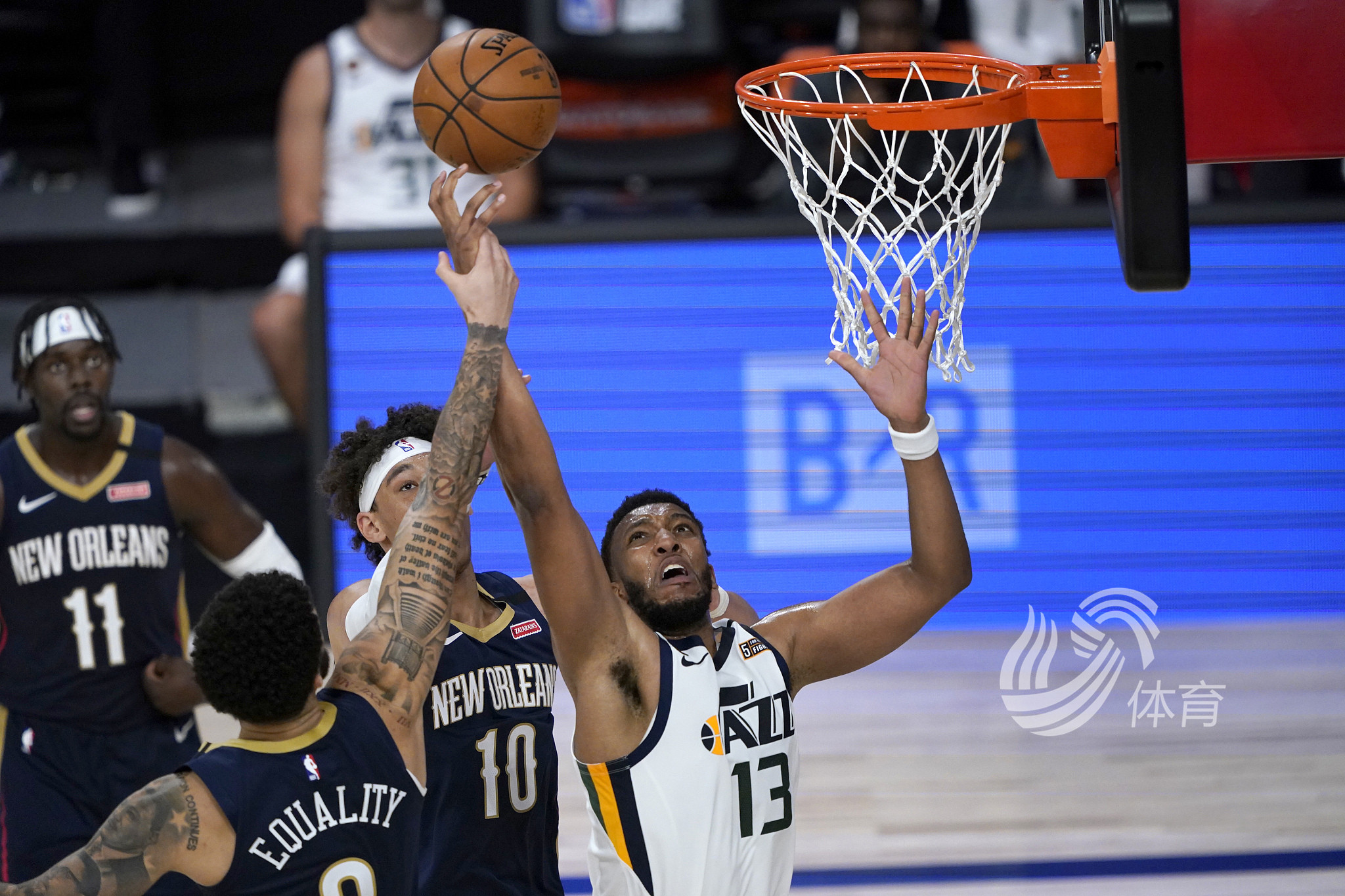 度试图反扑 度试图反扑